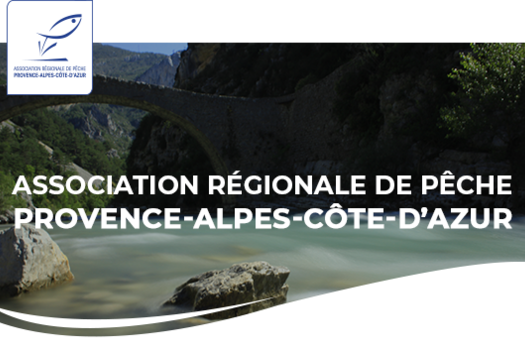 La Newsletter de mai est sortie !
