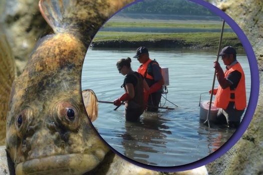 1ère édition d'un Magazine régional Pêche et Protection du Milieu Aquatique en Provence Alpes Côte d'Azur