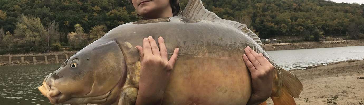 Pêche à la carpe dans la Nièvre