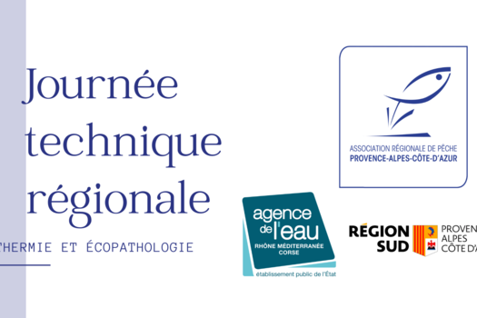 Retour sur notre journée technique régionale !