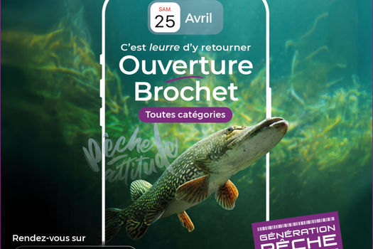 Ouverture de la pêche au Brochet