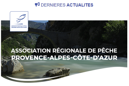 Newsletter octobre 2024
